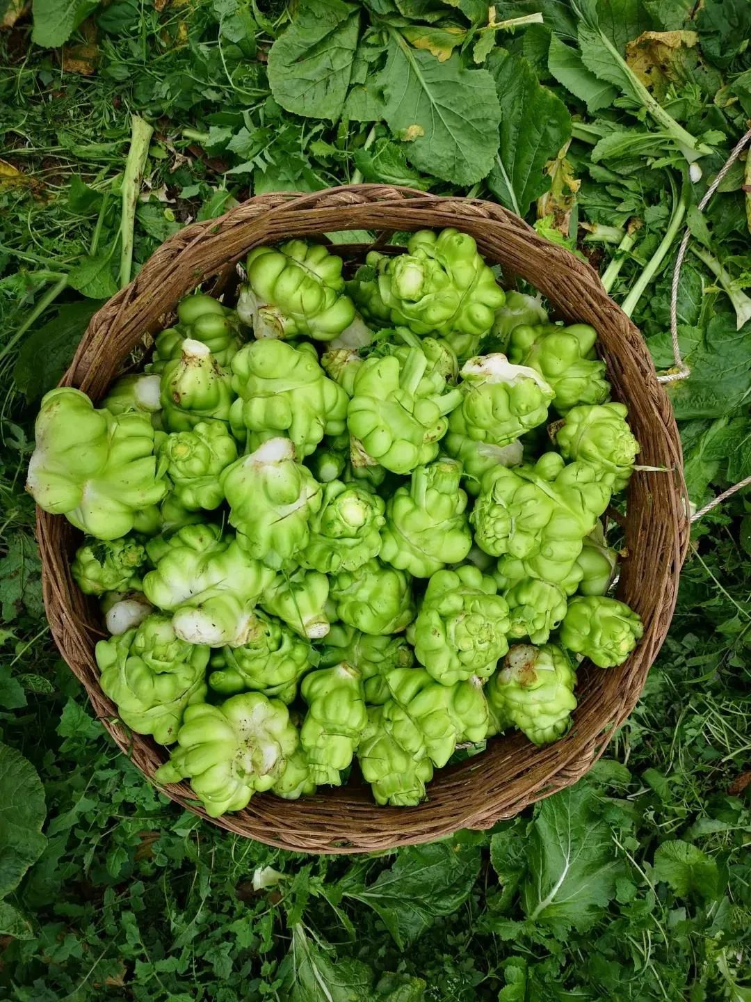 magic88官网— 如魔术般变幻的赛事,尽在你的掌控之中